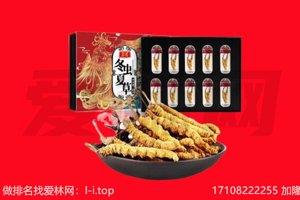 萨迦县回收虫草.jpg